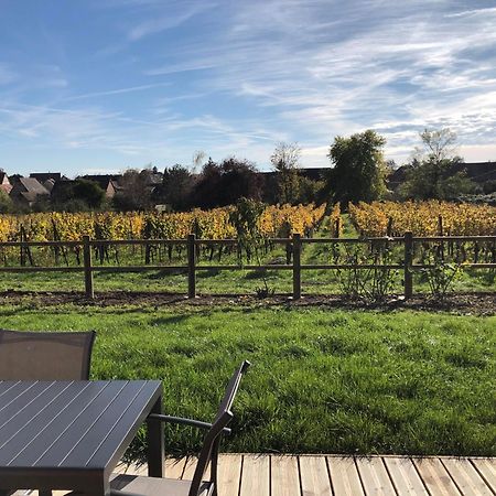 Domaine Rosfelder - Locations De Gite Et Cabane Insolite Gertwiller Bagian luar foto