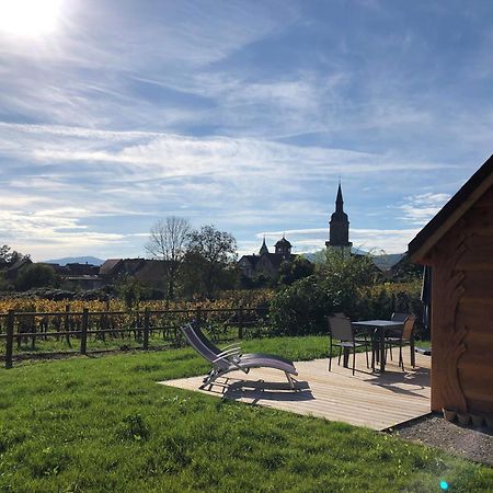 Domaine Rosfelder - Locations De Gite Et Cabane Insolite Gertwiller Bagian luar foto