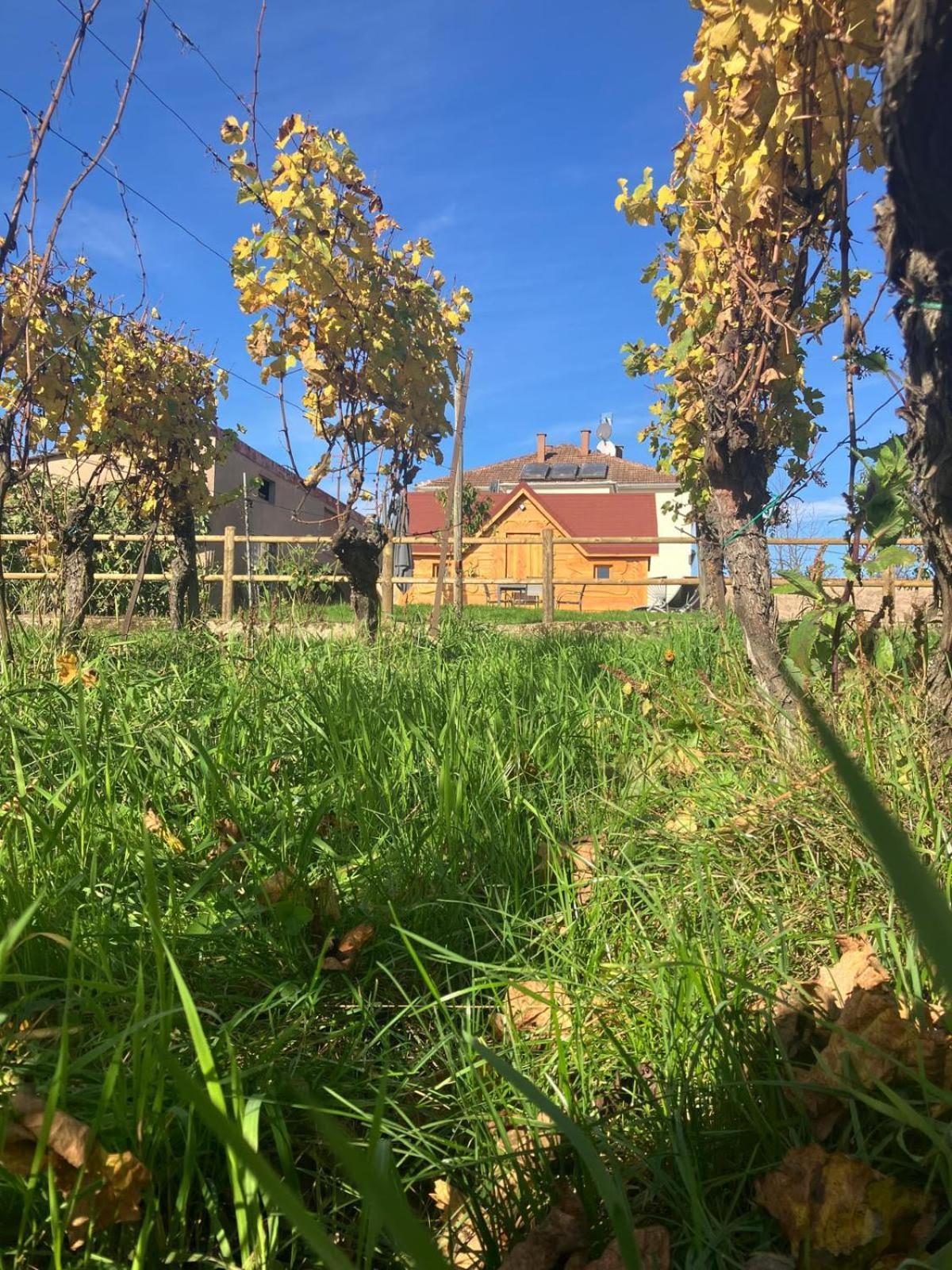 Domaine Rosfelder - Locations De Gite Et Cabane Insolite Gertwiller Bagian luar foto