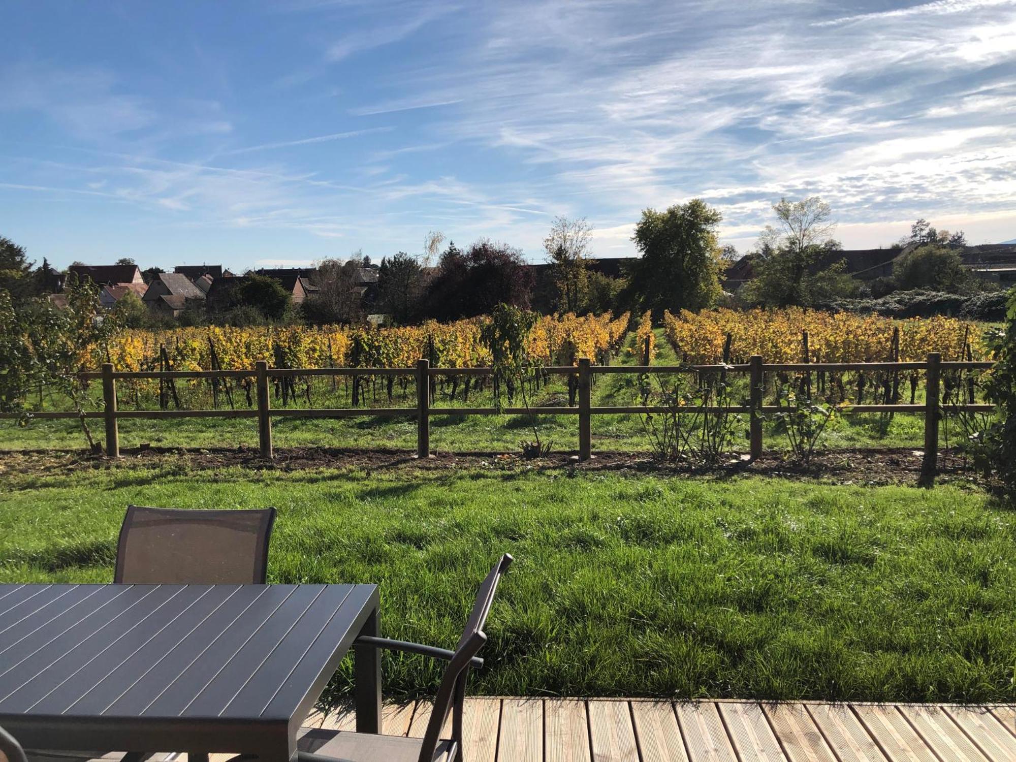Domaine Rosfelder - Locations De Gite Et Cabane Insolite Gertwiller Bagian luar foto