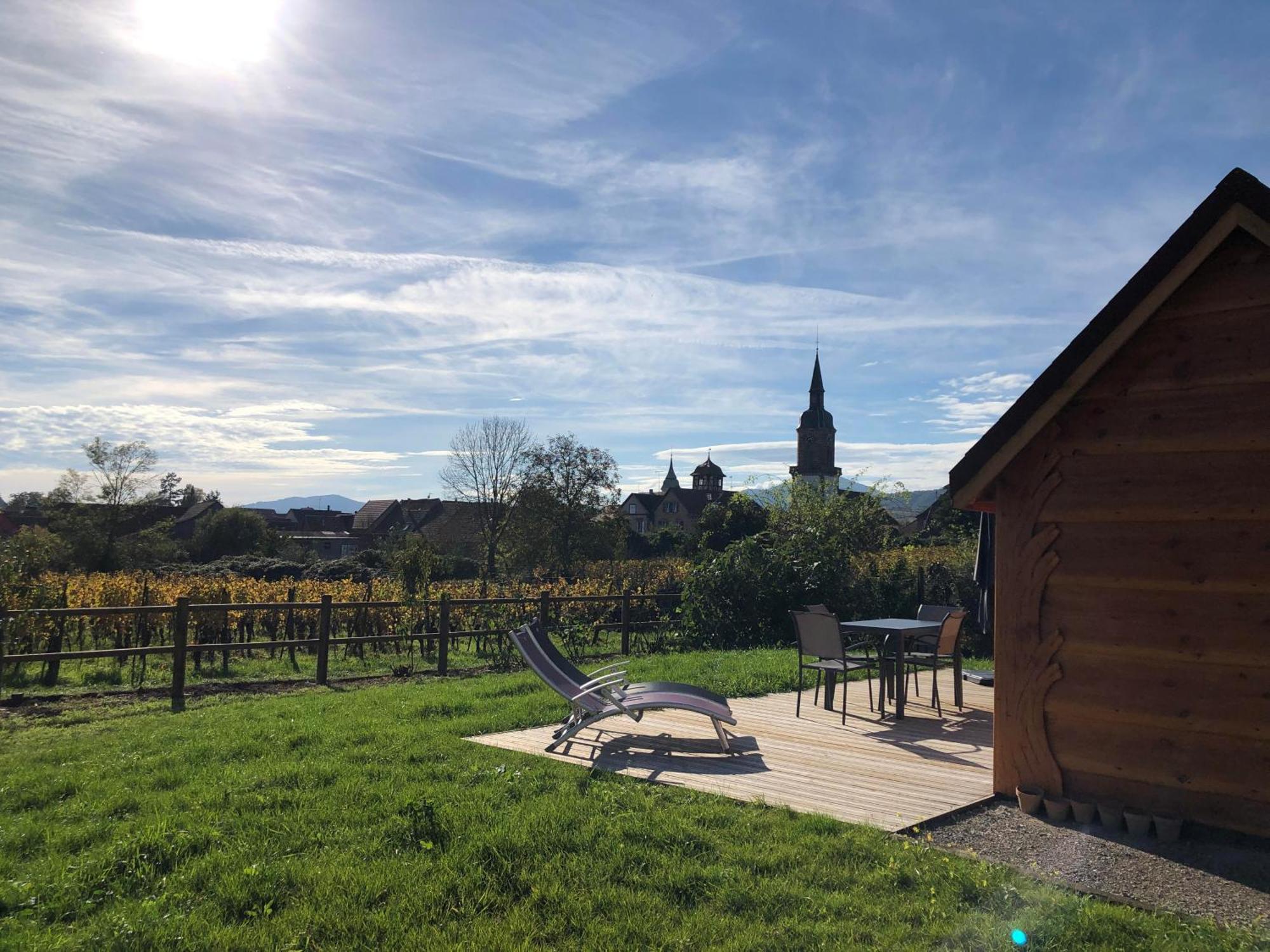 Domaine Rosfelder - Locations De Gite Et Cabane Insolite Gertwiller Bagian luar foto