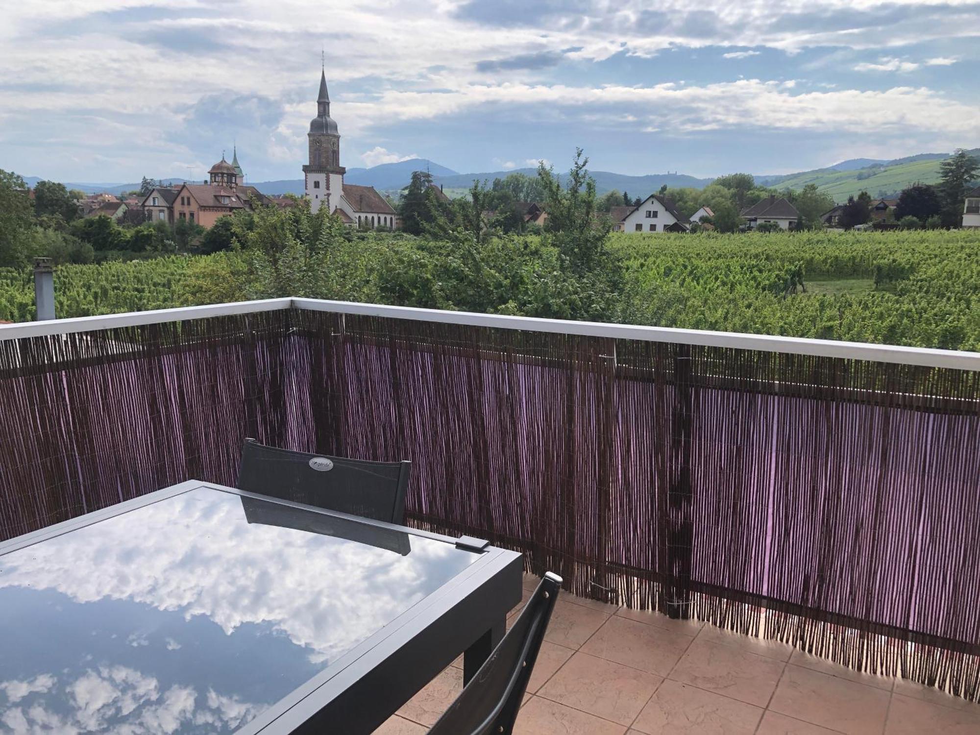 Domaine Rosfelder - Locations De Gite Et Cabane Insolite Gertwiller Bagian luar foto